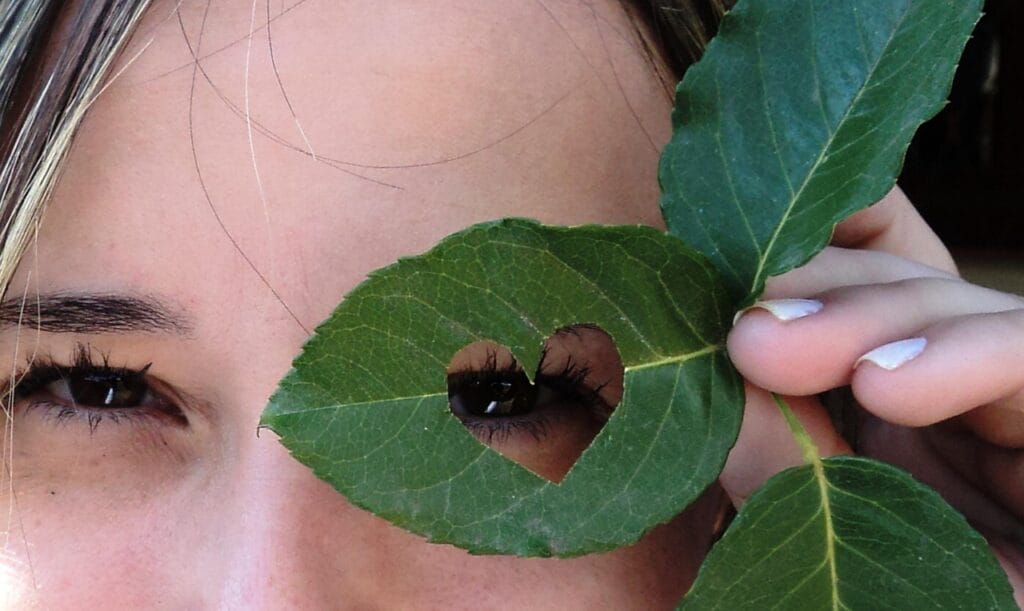 leaf, eyes, nature, green leaves, look, heart